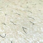 Самоклеюча плівка 0,45х10м х 0,07мм Ваніль SW-00001247 - Зображення 2