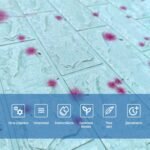 Самоклеюча 3D панель 700х770х4мм Блакитні кульбаби (322) SW-00001362 - Зображення 4